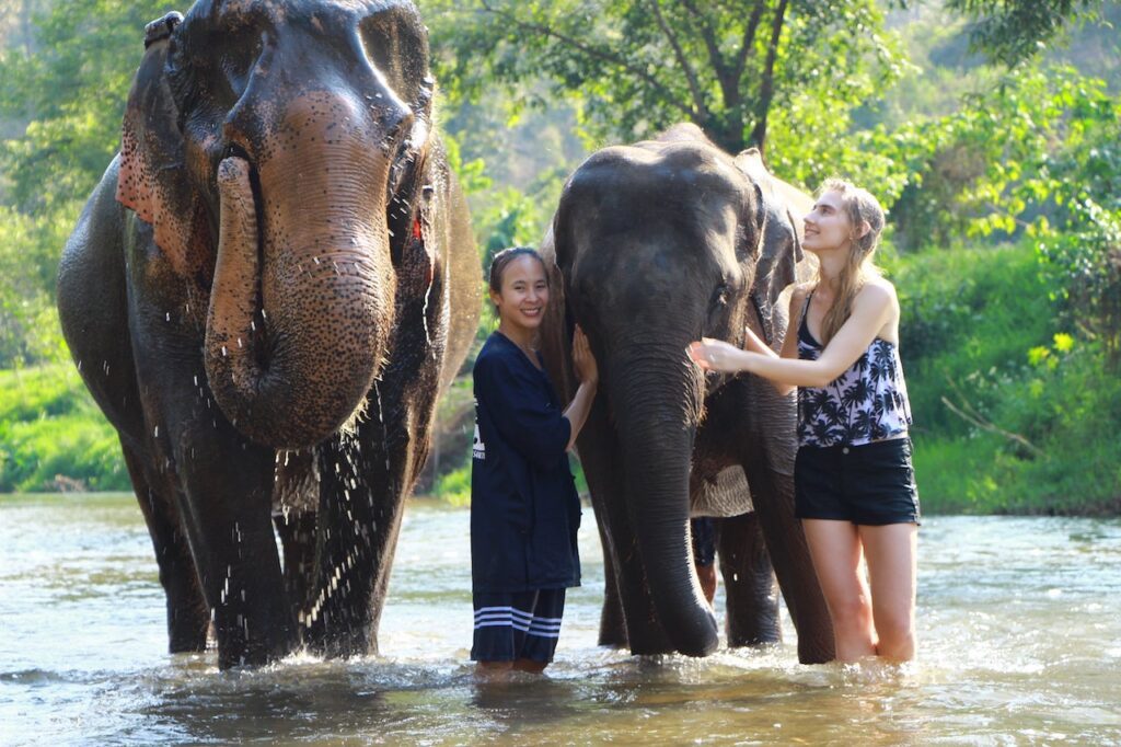 Two people which Elephants in an Elephant Sanctuary in Chiang Mai - Thai Pass