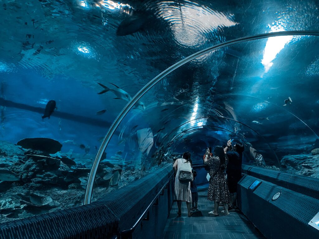 People observing fishes in the Underwater World Pattaya - Thai Pass