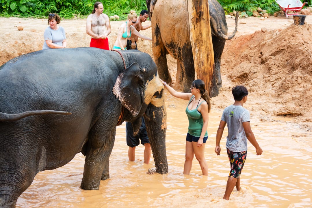 People bathing the Elephants in the Elephant Jungle Sanctuary - Thai Pass