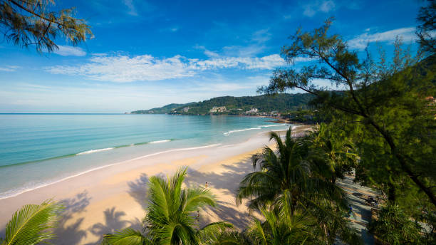 Patong Beach surrounded by lush coconut trees and mountains - Thai Pass