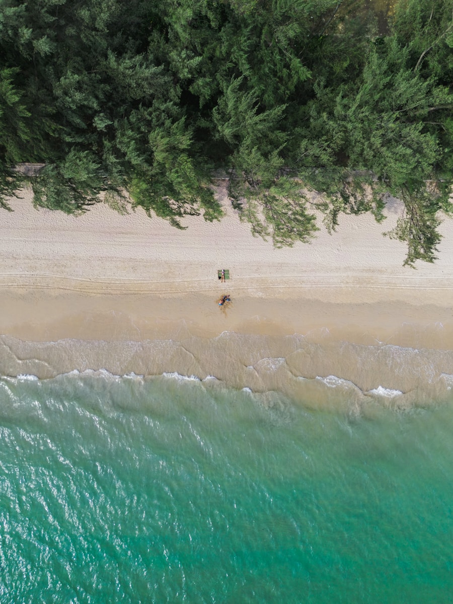 An aerial view of a beach with two persons - Thai Pass 