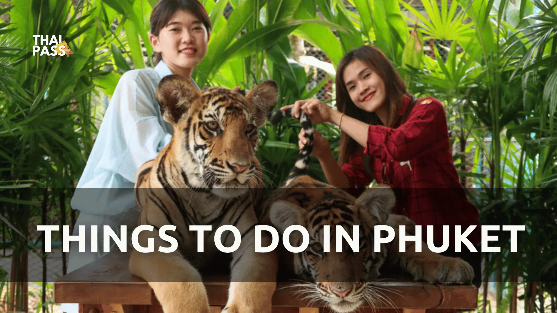7 Things to do in Phuket in 2025