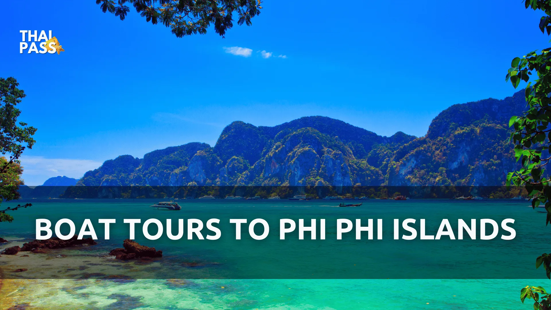 Best Phi Phi Island Boat Tours